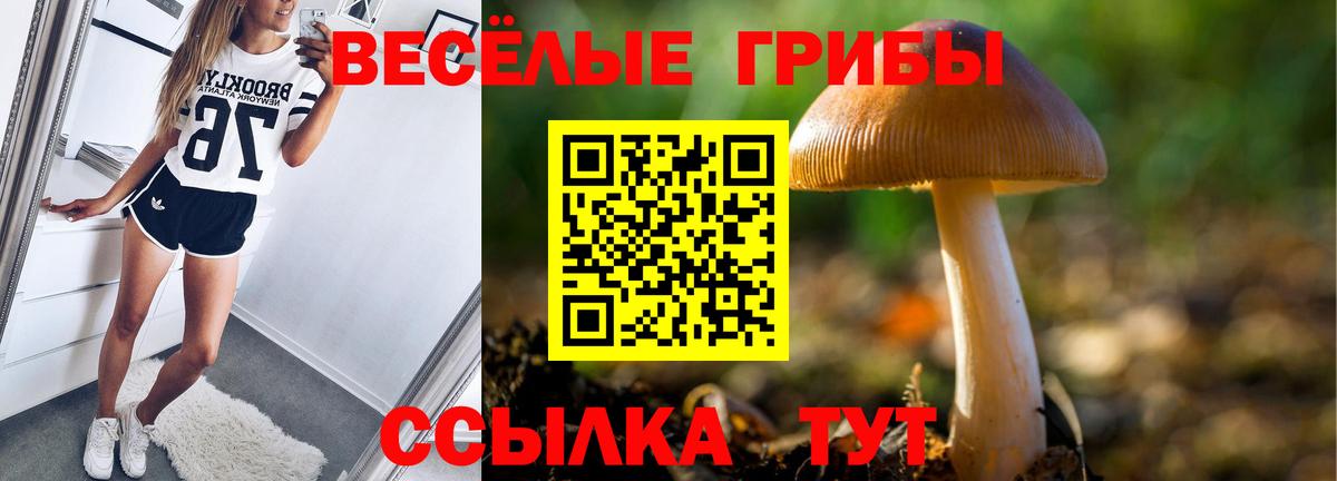 магазин продажи наркотиков  Псилоцибиновые грибы Magic Shrooms  Галлюциногенные грибы Magic Shrooms  Вход с VPN  Джанкой 